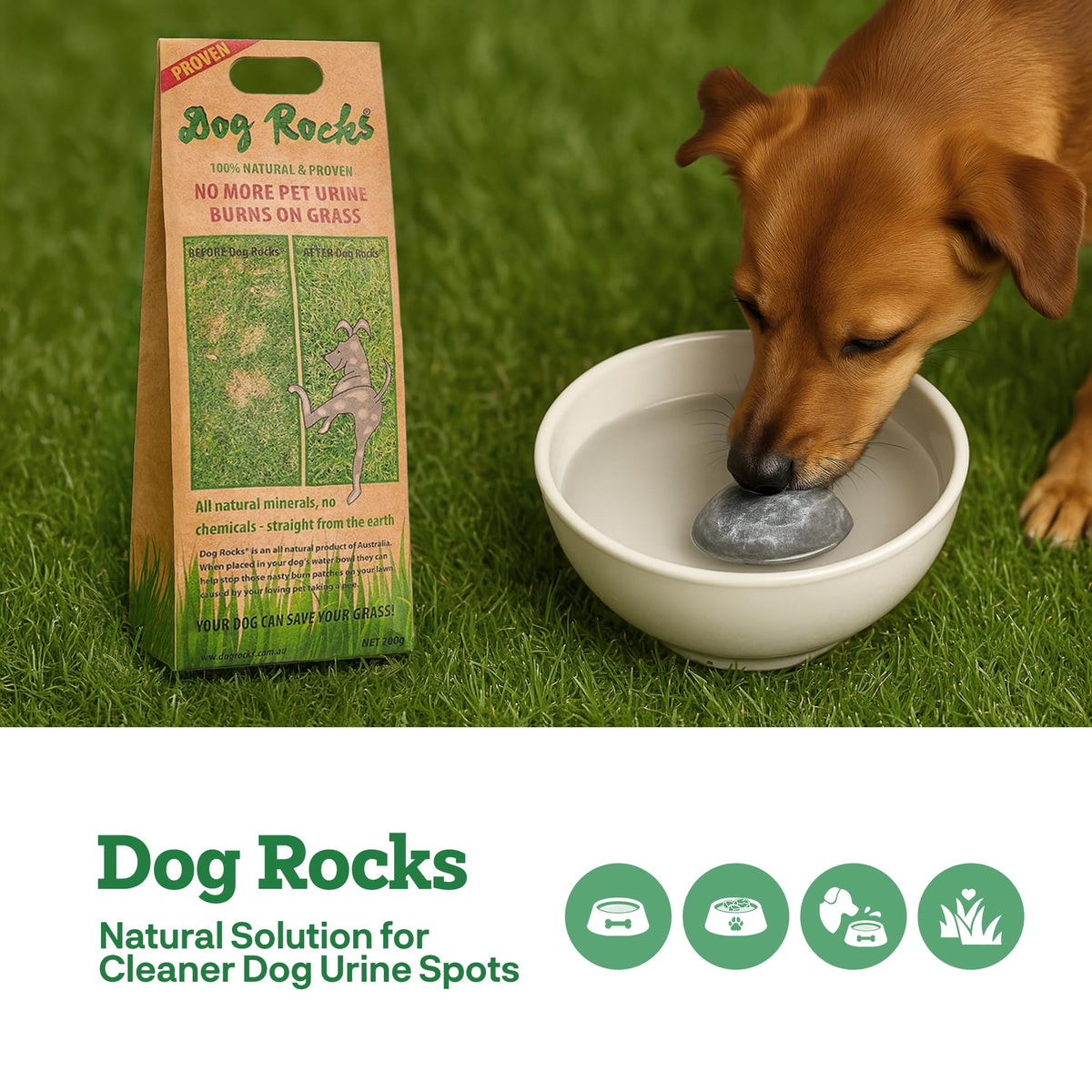 Before-and-after lawn view showing greener results with Dog Rocks.