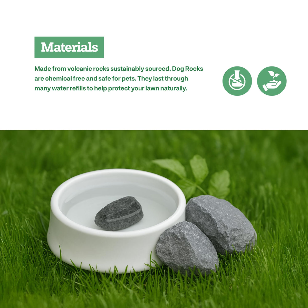 Dog Rocks in a clean water bowl signaling pet safety.