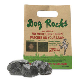 Dog Rocks in a water bowl reducing nitrates to protect lawn.