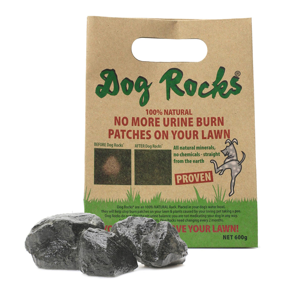 Dog Rocks in a water bowl reducing nitrates to protect lawn.
