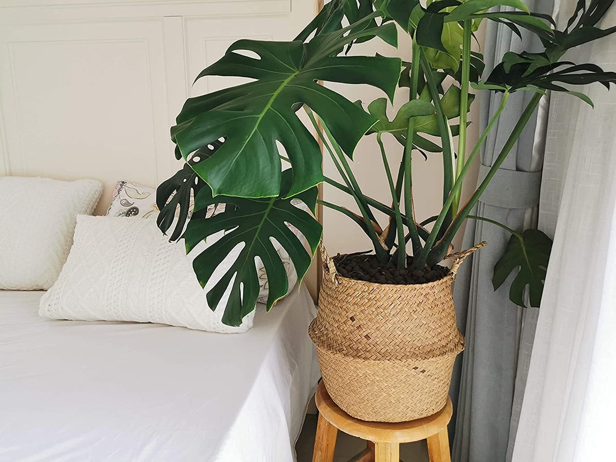 DOKOT Seagrass basket features handmade weave and neutral tones for year-round use.