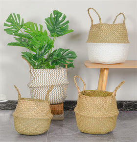 DOKOT Seagrass basket with handles for plant display and decor.