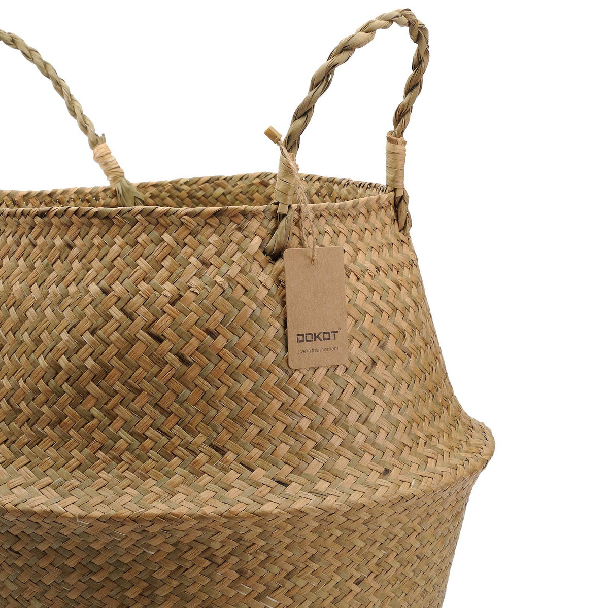 DOKOT size reference with top opening 14.1 inches for plant fit