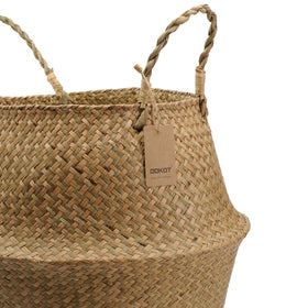 DOKOT size reference with top opening 14.1 inches for plant fit