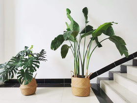 DOKOT seagrass basket shows woven texture and natural craftsmanship