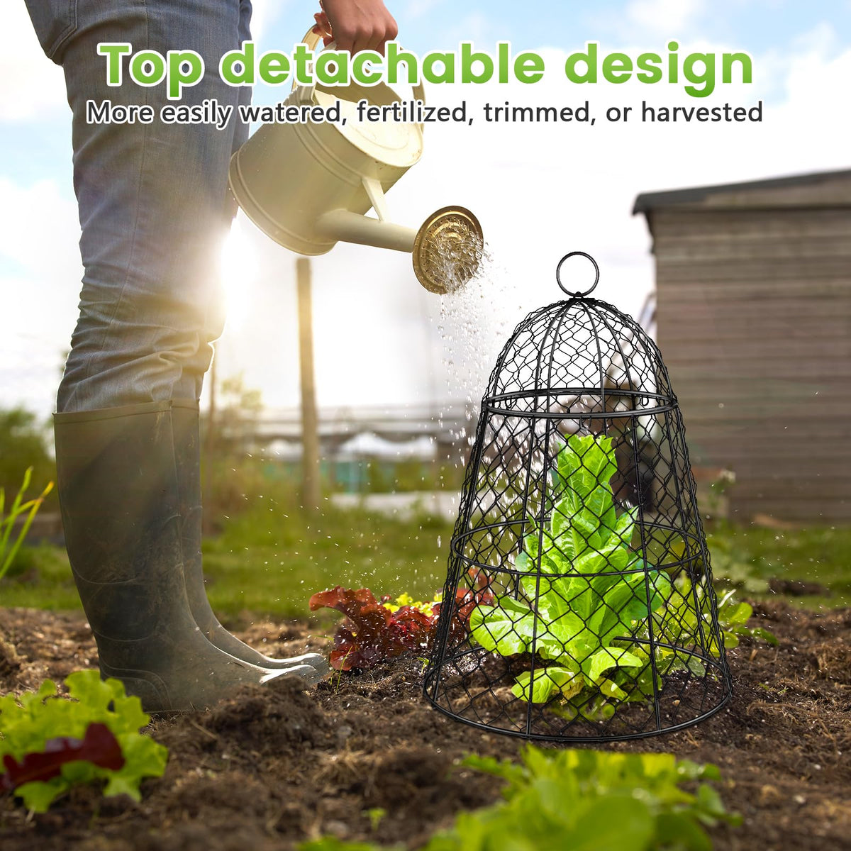 Doksving 17 inch tall cloche guards larger plants in beds.