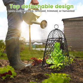 Doksving 17 inch tall cloche guards larger plants in beds.