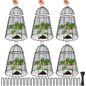 Doksving 6 pack garden cloches protect young plants while allowing air flow.