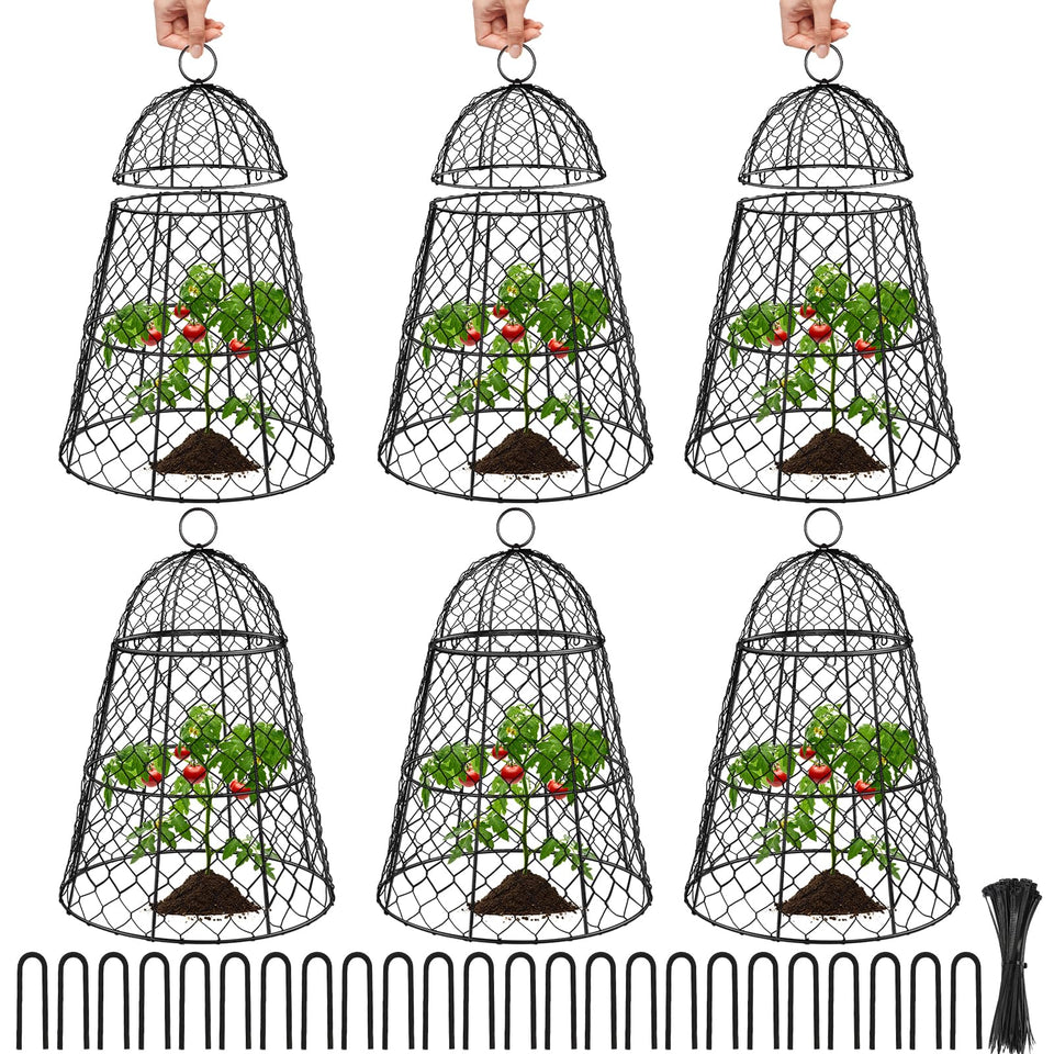 Doksving 6 pack garden cloches protect young plants while allowing air flow.