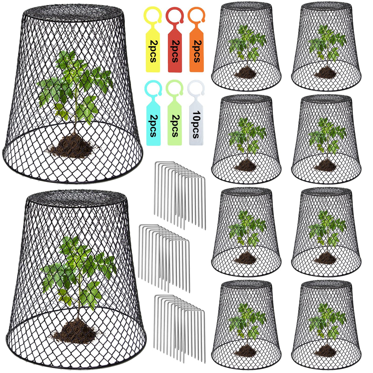 Doksving chicken wire plant protectors 9x9 front view protecting seedlings from browsing animals