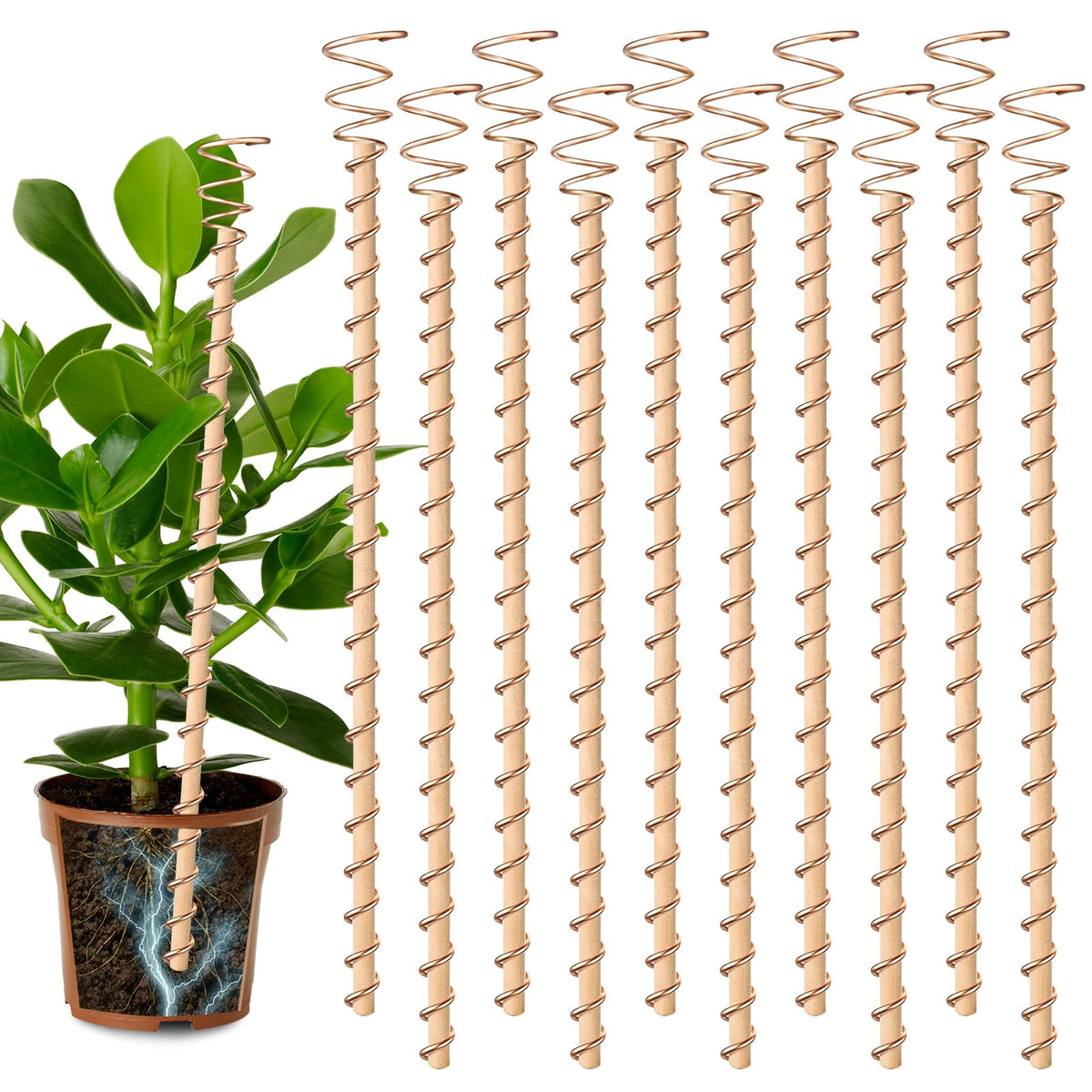 Doksving electroculture stake in soil showing 34 cm antenna for robust plant growth.