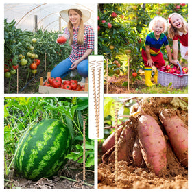 Doksving setup with potted plants demonstrates use and growth potential