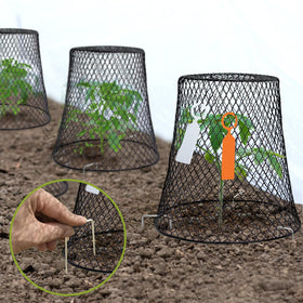 Doksving plant protector in use around potted herbs to deter small animals