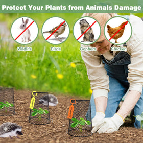 Doksving waterproof labels and pins for easy garden labeling.