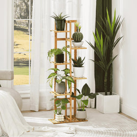 DolceLuna 6-tier bamboo plant rack keeps a tidy, tiered display.