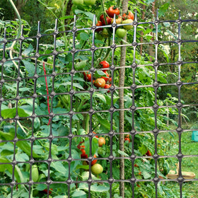 Weather-ready DOLEMODUO mesh resists cracking and rotting for year-after-year reuse.