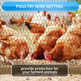 DOLEMODUO pet and flower cage wire mesh used for containment.