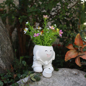 Dolkgy cute cactus pot enhances windowsill or balcony décor