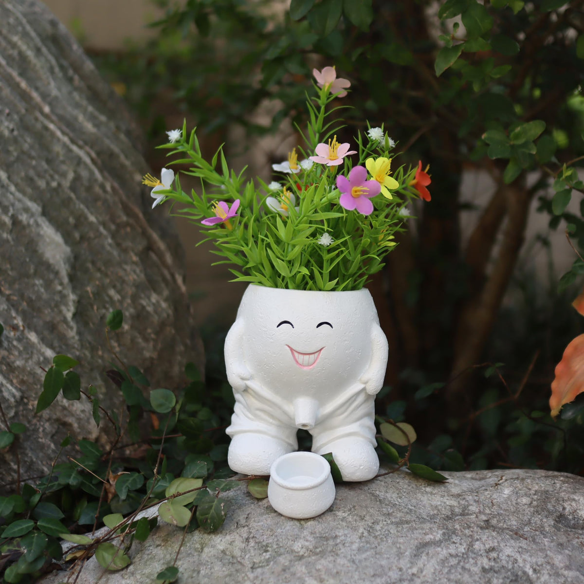 Dolkgy face planter with drainage tray helps prevent overwatering and mess