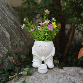 Dolkgy face planter with drainage tray helps prevent overwatering and mess