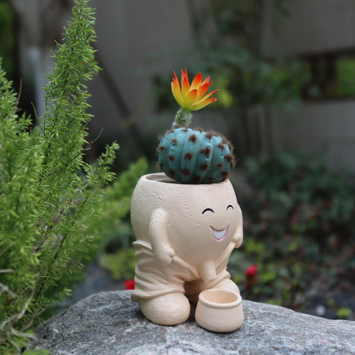 Dolkgy face planter placed indoors or outdoors for whimsical decor.