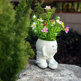 Dolkgy succulent pot fits both indoor and outdoor spaces for versatile display