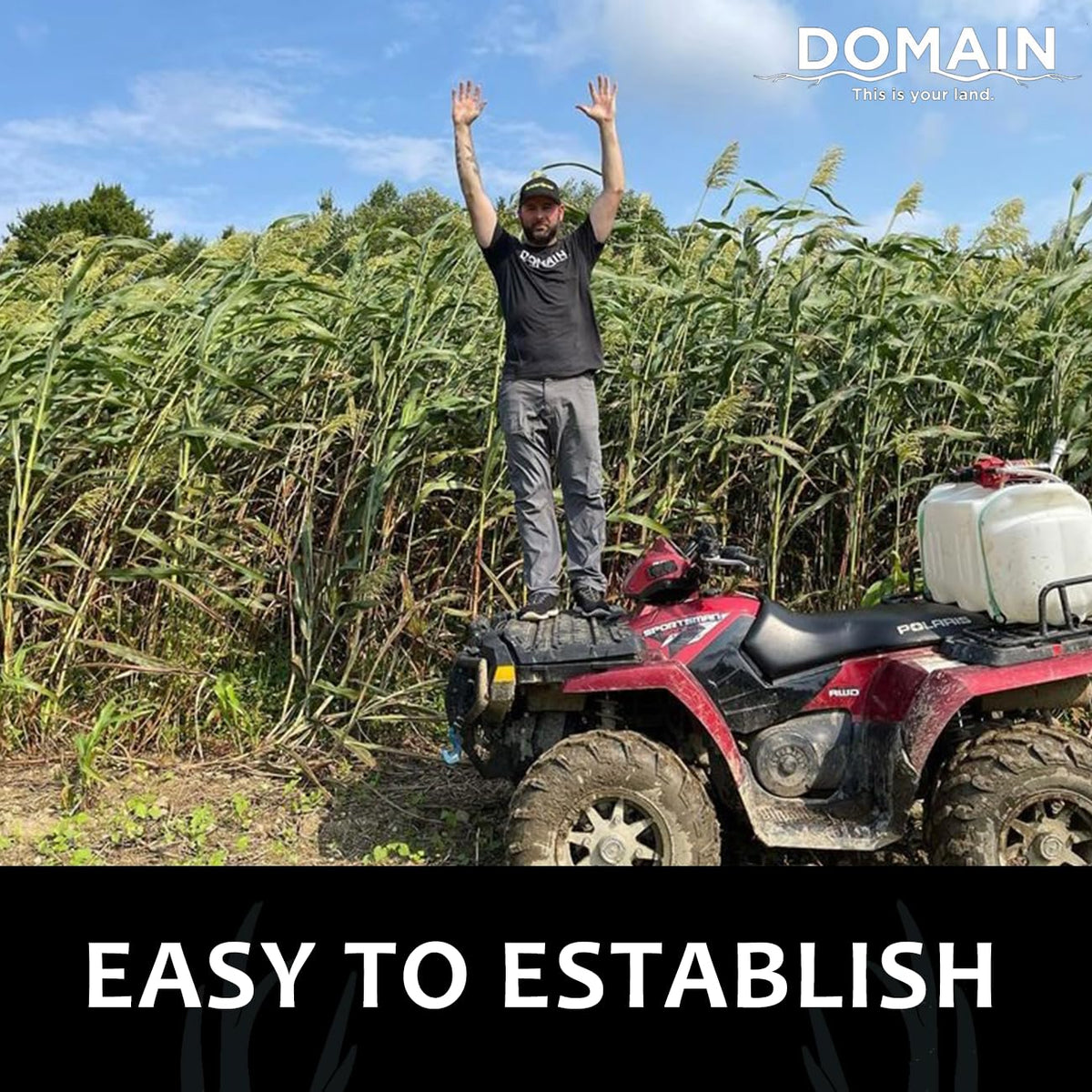 Fast-growing 60-80 day timeline helps uniform plot establishment