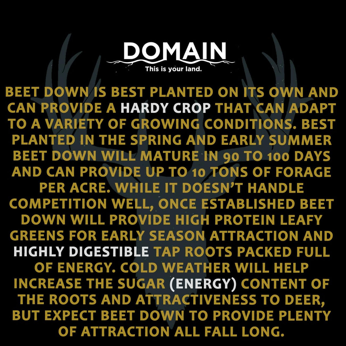 Domain This Is Your Land Beet Down deer attraction benefits during fall plots