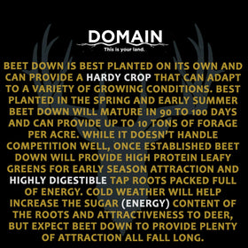 Domain This Is Your Land Beet Down deer attraction benefits during fall plots
