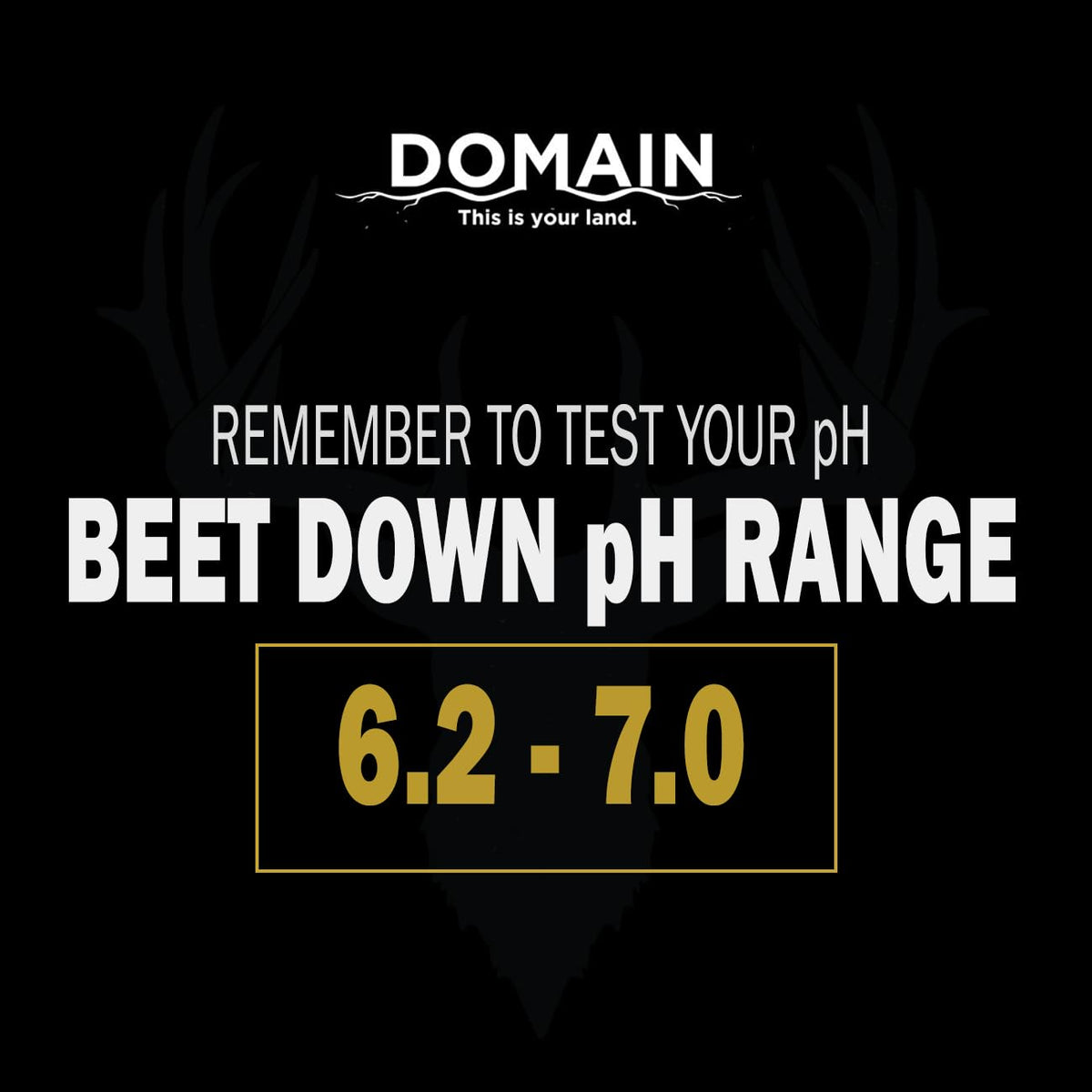 Domain This Is Your Land Beet Down forage yield per acre supports deer nutrition