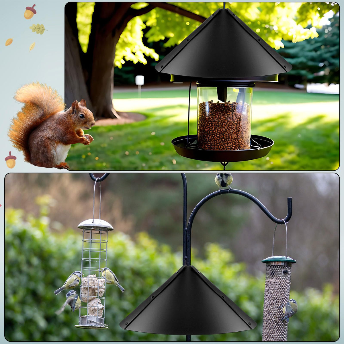 Domensi baffle reduces squirrel access for safer bird feeding.