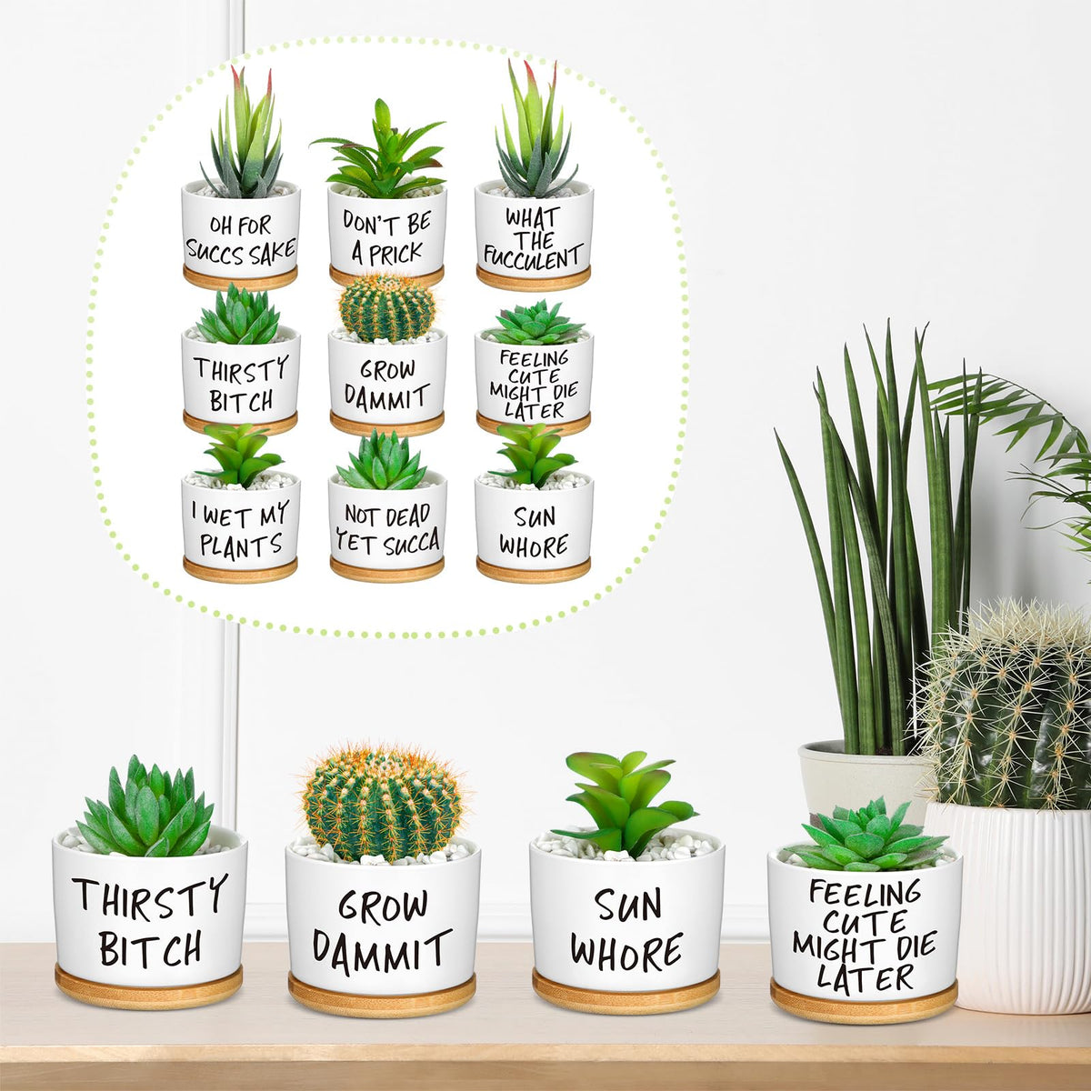 Domensi bamboo trays paired with ceramic pots for organized windowsill displays