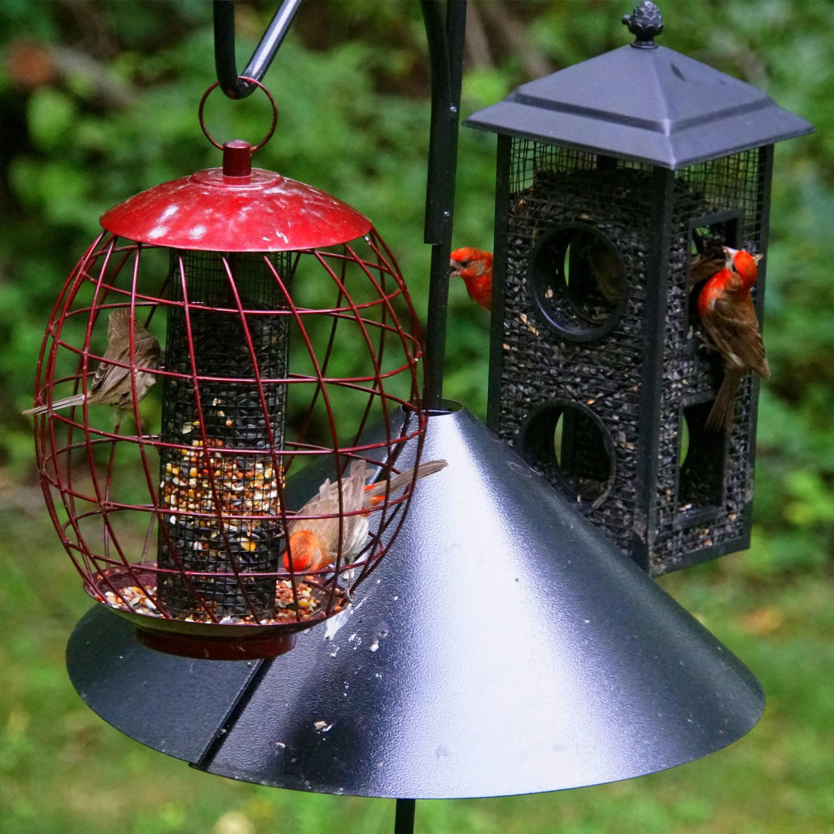 Domensi baffle installs quickly without removing the feeder.
