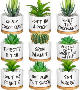 Domensi funny succulent pots with bamboo tray on a desk for decor
