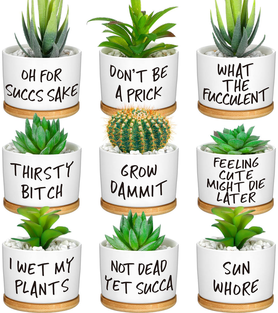 Domensi funny succulent pots with bamboo tray on a desk for decor