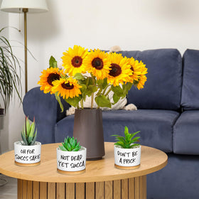 Domensi nine-piece succulent pot set makes a thoughtful housewarming gift