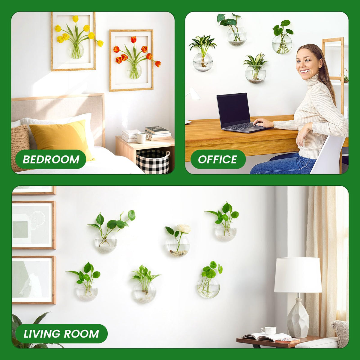 DomeStar space-saving wall vase enables vertical hydroponic arrangements