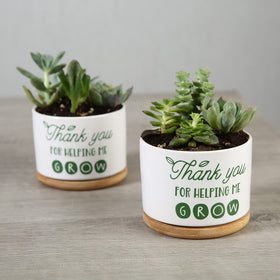 DOMG Christmas or Teacher's Day gift idea for teachers.