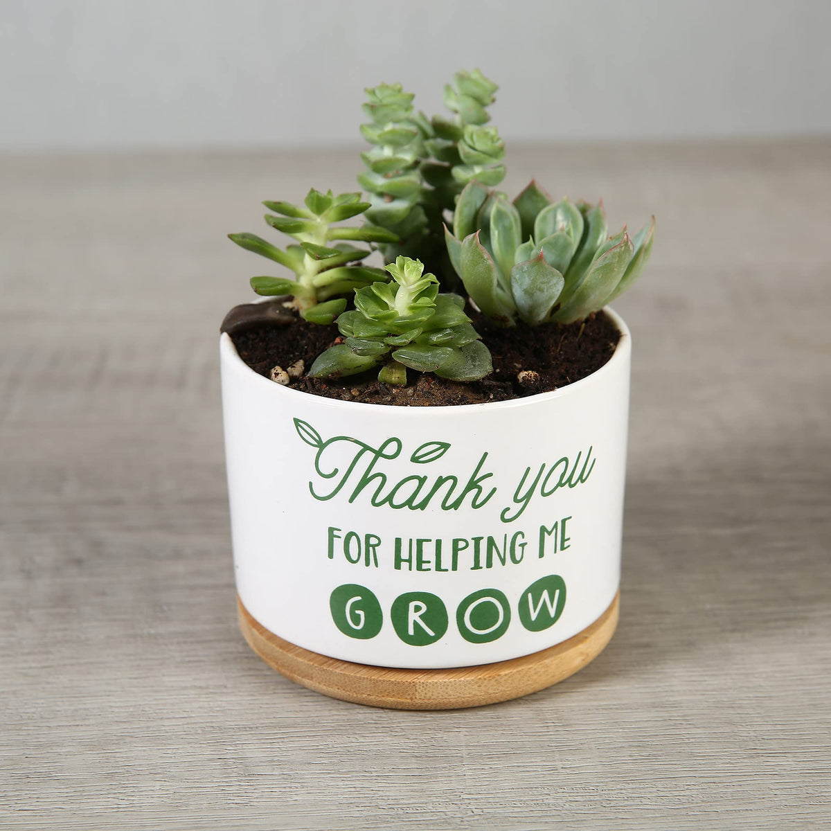 DOMG emotional expression gift for teachers conveys thoughtful gratitude.