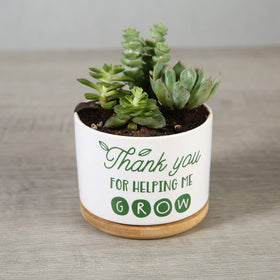DOMG emotional expression gift for teachers conveys thoughtful gratitude.