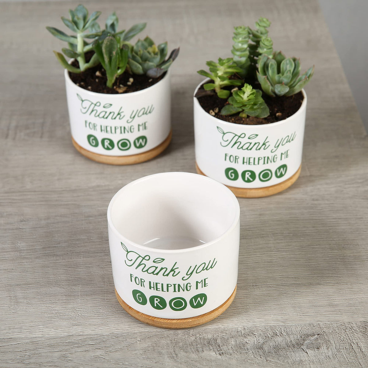 DOMG gift-ready packaging makes gifting easy.