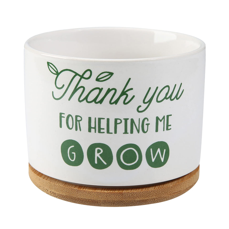 DOMG teachers appreciation ceramic pot with bamboo saucer, ideal for desk display and gifting.