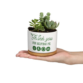 DOMG white ceramic pot is ideal for desks and shelves.