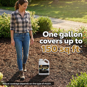 Dominator Mulch Anchor sets in hours under varying weather.