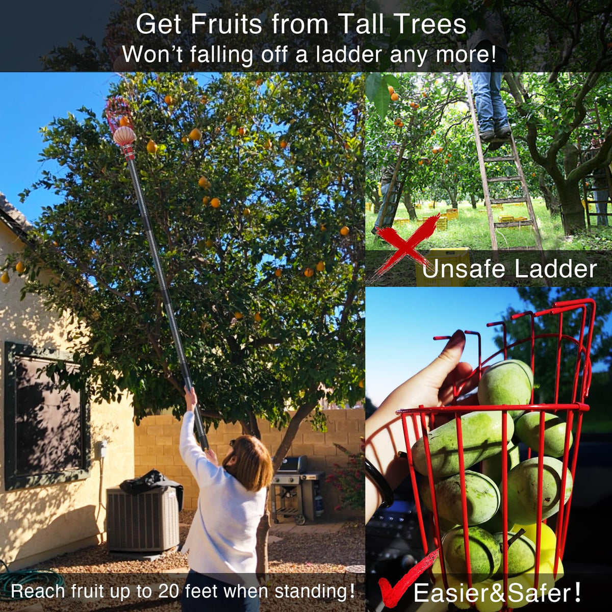 DonSail sturdy 1-inch diameter pole emphasizes durability during fruit pickup.
