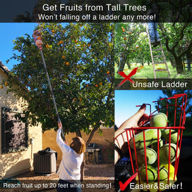 DonSail sturdy 1-inch diameter pole emphasizes durability during fruit pickup.
