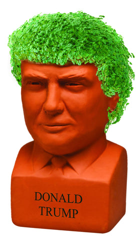 Donald Trump Chia Pet growth coat appears in 1–2 weeks for display-ready greens