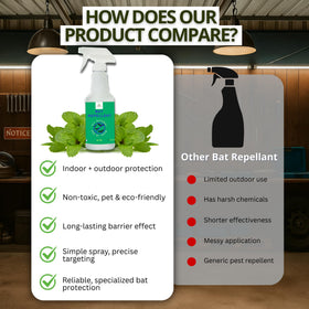 Donaldson Farms Easy-application Bat Spray demonstrates simple setup and rapid use.