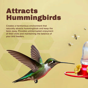 Donaldson Farms hummingbird feeder safety spray reduces bee presence