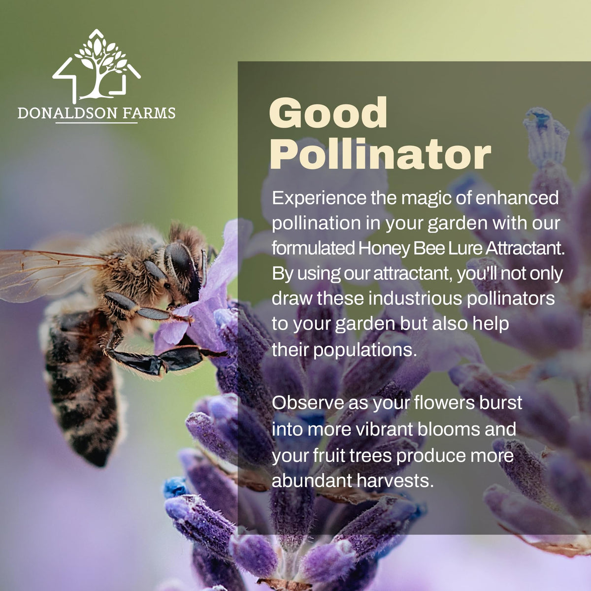 Donaldson Farms pollinator-friendly garden setup supports biodiversity.
